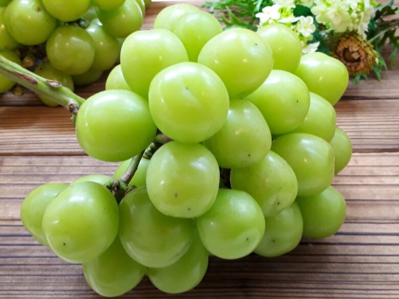 ぶどうの病気４ シャインマスカットの 晩腐病 べと病 対処の記録 絶対にミイラ化させないぞ ワンダフルライフ