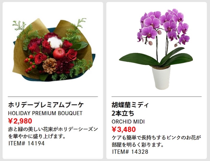 20221216コストコ新商品花