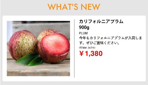 20230716コストコ最新クーポン14