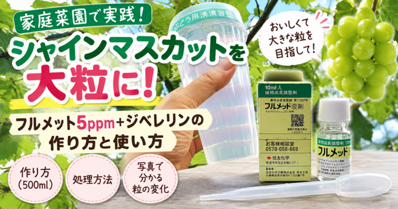 シャインマスカットを大粒に！フルメット5ppm＋ジベレリンの作り方と使い方
