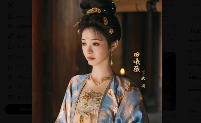 子夜帰 Tian Xiwei 2