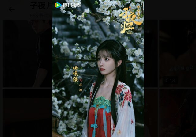 子夜帰32 記憶を失った武祯