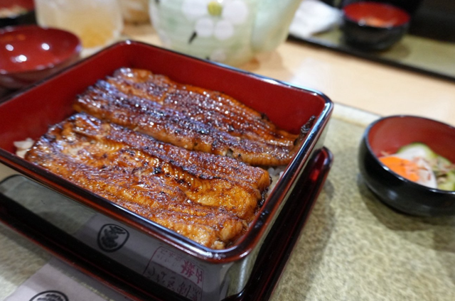 石水庭 横内のうなぎ アップ